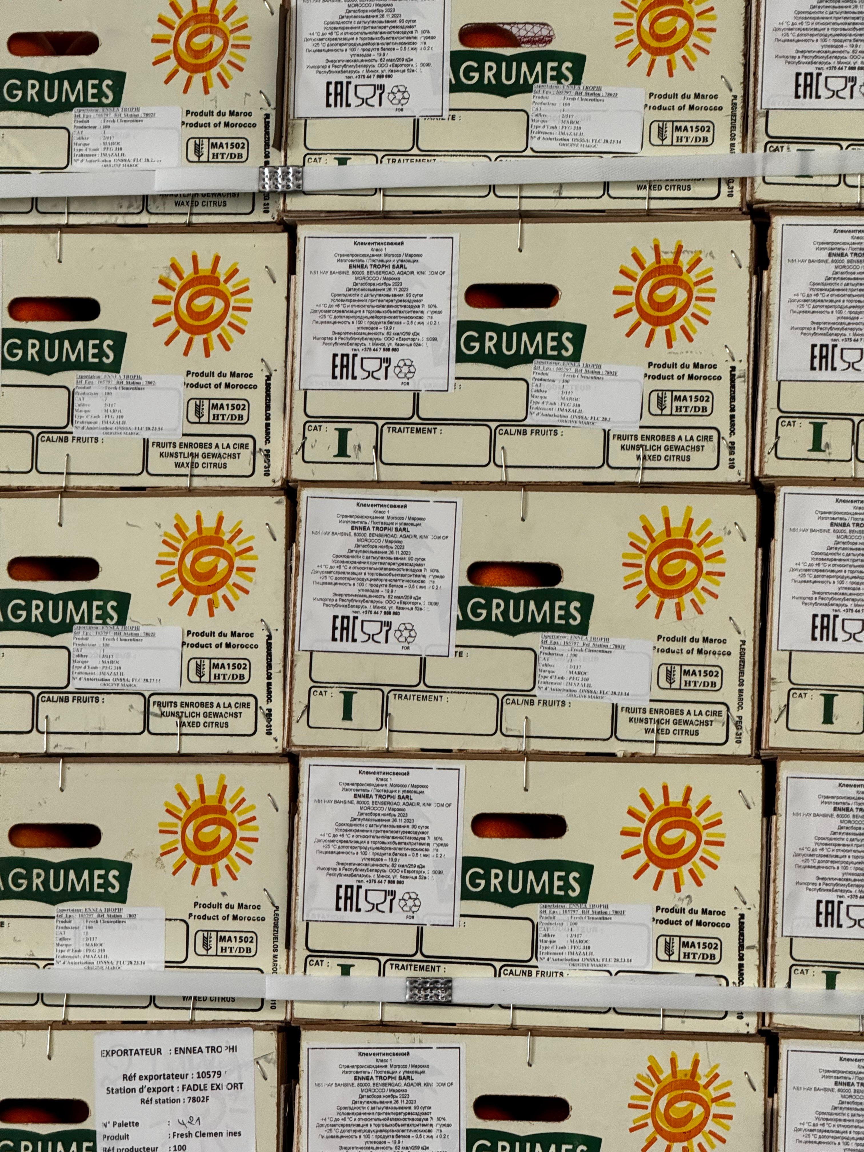 Premium Moroccan produce selection